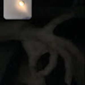 Meet your Posher, Han